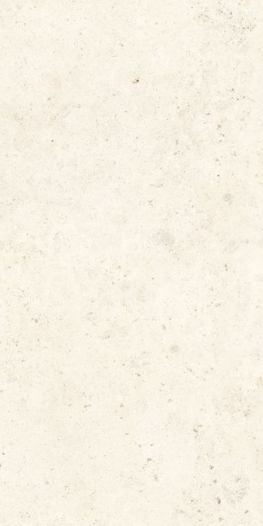 Lightstones.03 Shell Soft Touch 12 x 24